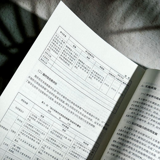 跨学科主题学习教学实施指南 瞄准教师跨学科素养培育三大难点 商品图13