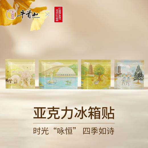 牛首山亚克力冰箱贴大英图书馆联名系列一套立体创意冰箱装饰贴 商品图0
