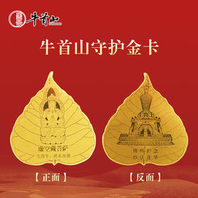 牛首山文创生肖金卡八大生肖守护金卡本命年护身符南京AR文创送礼