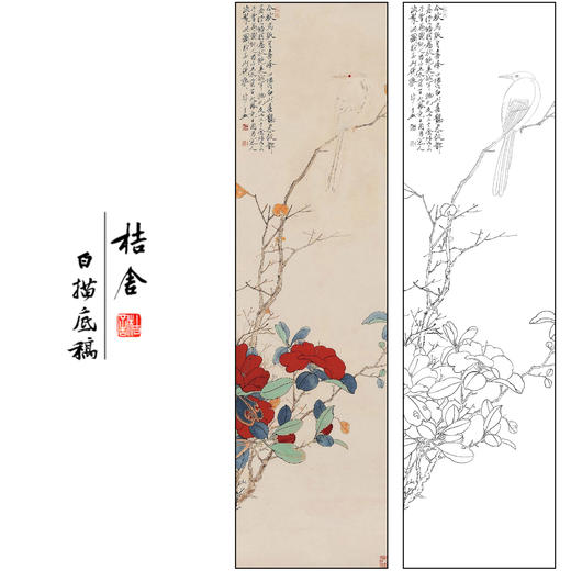 于非闇花鸟工笔画白描底稿《白山喜鹊》临摹勾线高清打印稿FA02 商品图0