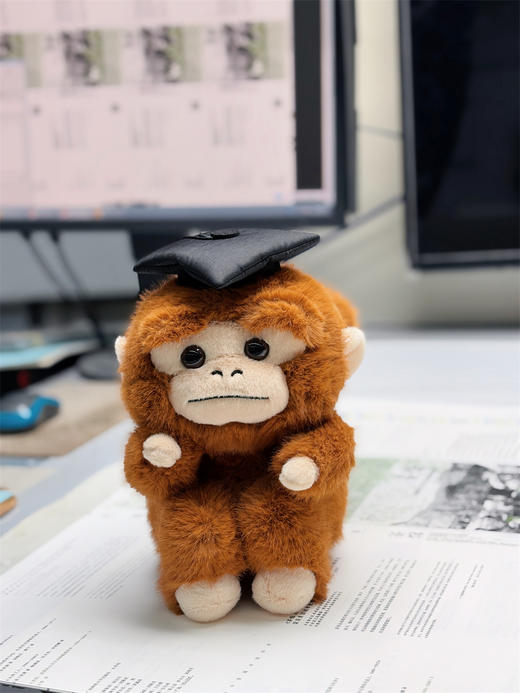 【新品现货】学术吗喽公仔 可选 深棕色 卷卷/ 浅色  问问 玩偶 商品图6