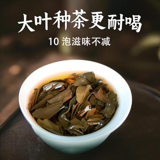 2025年老白茶寿眉贡眉干仓茶叶批发500克云南大叶种白茶 商品图3