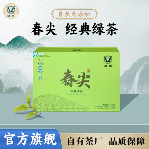【中国农垦】雄鸥春尖绿茶300克 商品图0