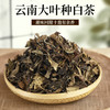 2025年老白茶寿眉贡眉干仓茶叶批发500克云南大叶种白茶 商品缩略图0