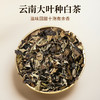2025年老白茶寿眉贡眉干仓茶叶批发500克云南大叶种白茶 商品缩略图5