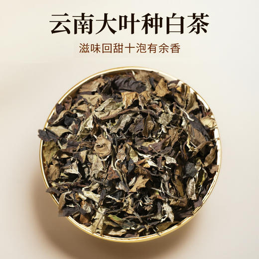 2025年老白茶寿眉贡眉干仓茶叶批发500克云南大叶种白茶 商品图5