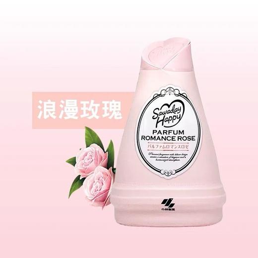 日本小林制药固体消臭元衣柜香薰厕所卫生间除臭味神器空气清新剂效期26年3月 商品图3
