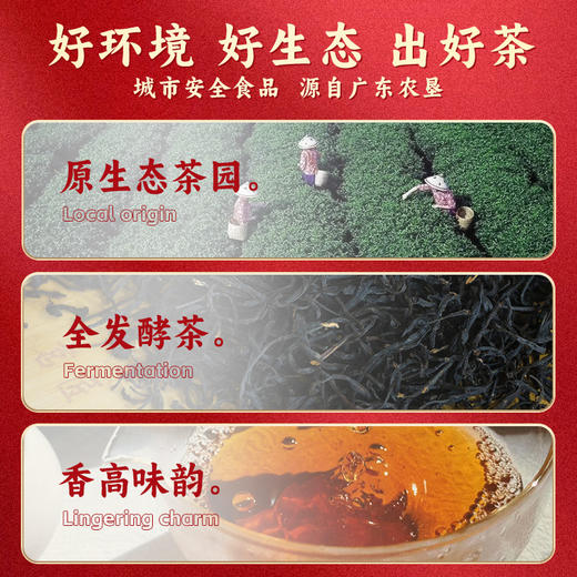 【中国农垦】雄鸥金凤一号红茶150克 商品图1