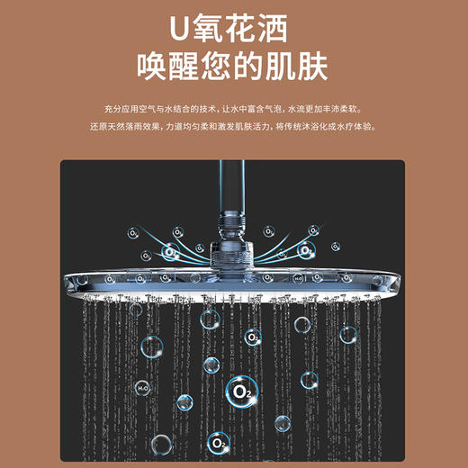 【门店款】帝王洁具TC24028-1花洒套装恒温淋浴套装置物台强劲喷枪沐浴花洒 商品图2