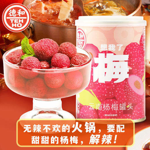 德和 杨梅罐头400g/罐 水果罐头 #润 商品图4