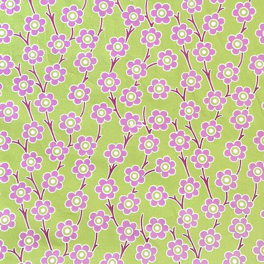 LT235D  活力  Pep   季节款  269/M  邮费到付 商品图4