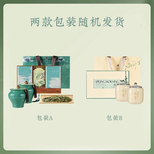 【竹韵白茶】去寻礼盒明前珍稀白茶绿茶茶叶礼盒特级中式设计送礼佳品 商品图4