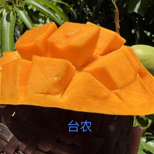 【同行精选】云南懒芒果干 只有芒果的芒果干 口感软糯果香浓郁 自然果甜不腻 健康优选小零食 商品图2