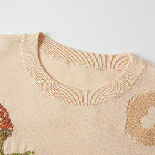 谜底套头针织衫短袖女2025秋新品复古文艺百搭绣花短款253MZ1395 商品图3