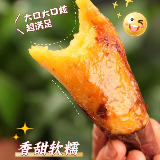 甜到心里的蜜薯 生活有点苦 记得自己加点甜 红薯 商品图2