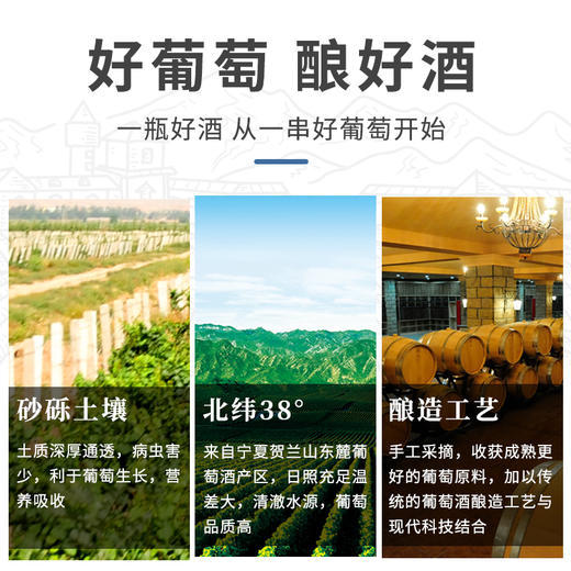 【中国农垦】西夏王阳台03贵人香干白750ML 商品图1