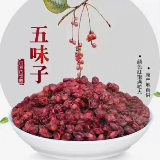 【东北“红宝石”，失眠者福音】长白山特产 道地北五味 五脏俱养 药食同源 本草纲目记载改善睡眠质量，减轻疲劳，提高精神状态 商品图4