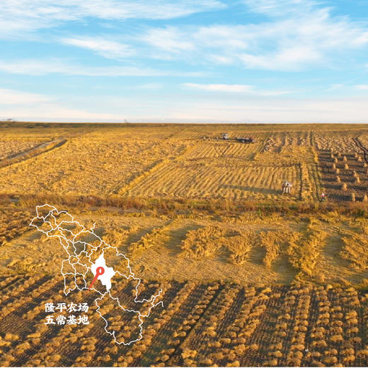 袁谷五常有机鲜稻4kg稻花香2号内置小包装8袋共8斤2025新米 商品图1