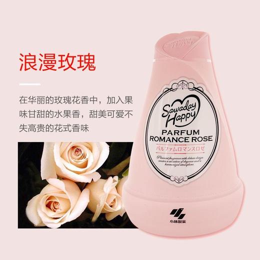 日本小林制药固体消臭元衣柜香薰厕所卫生间除臭味神器空气清新剂效期26年3月 商品图2