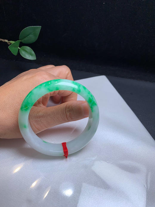 620526，56.5阳绿正圈 ，半截清新阳绿色，版型也不错 商品图5