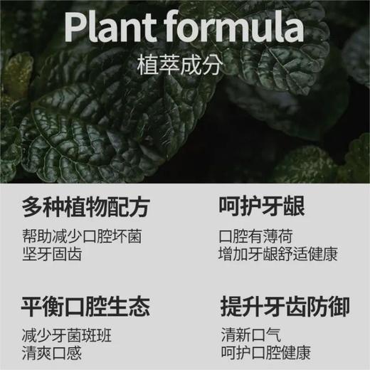 麦迪安93%去牙垢靓白牙膏120g效期26年10月 商品图6