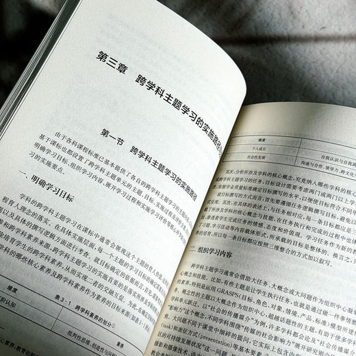 跨学科主题学习教学实施指南 瞄准教师跨学科素养培育三大难点 商品图11