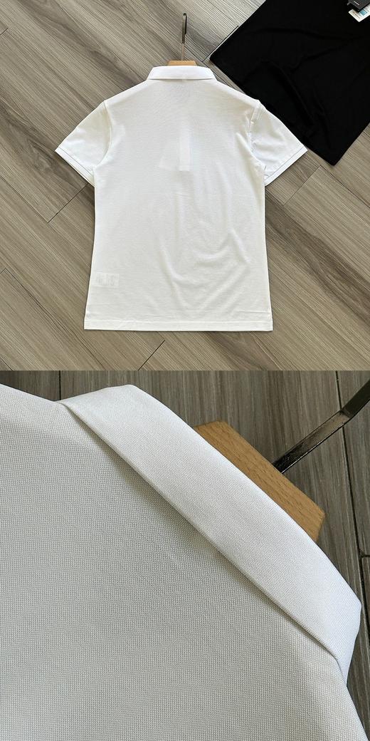 点此购买 迪桑特夏季手臂徽标男士商务休闲翻领短袖Polo衫 jj 324504 商品图12