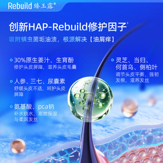 免费试用！【每购1瓶送价值49元同款100ml1瓶试用，多买多送】臻玉露Rebuild生姜氨基酸润养洗发露、护发精华乳、润肤沐浴露 商品图5