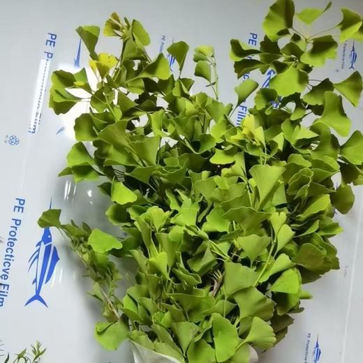 精品花材银杏叶配花配草1扎 商品图0