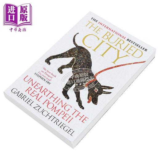 【中商原版】湮没之城 庞贝古城的真实考古 The Buried City Unearthing the Real Pompeii 英文原版 Gabriel Zuchtriegel 历史 商品图1