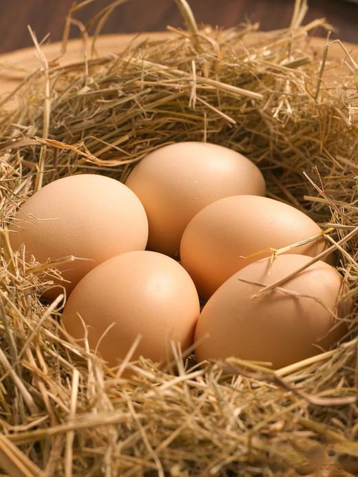 营养蛋（45枚/礼品箱） 商品图1