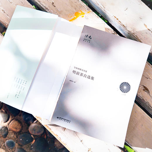 与尔同消无尽夏：明前茶自选集 | 治愈系作家书写世间流离之美 商品图4