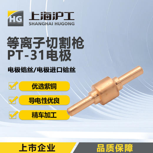 上海沪工PT-31配件电极锆丝【10只装】PT-31电极 进口铪丝【10只装】等离子切割枪配件 商品图0