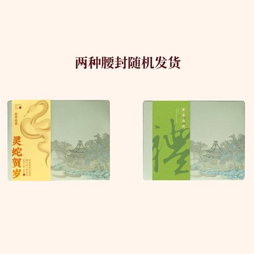 【第二件半价】去寻龙隐2025年明前龙井特级春茶上新茶叶礼盒小罐装 商品图3