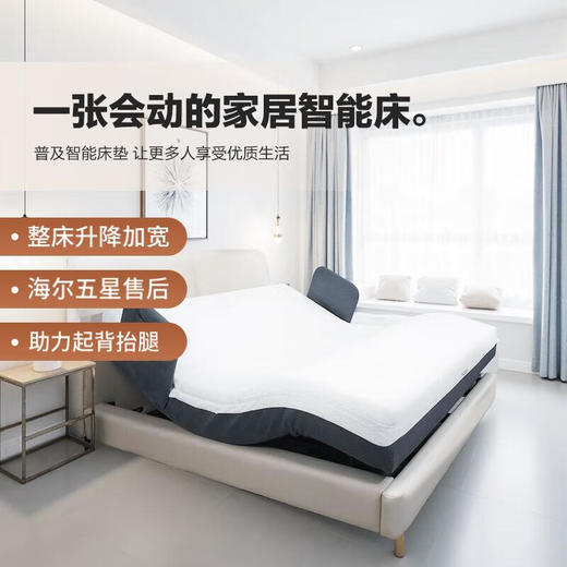 海尔（Haier）新款智能电动床1.2加宽多功能升降起背抬腿家用老人护理 家居电动床 HJU0-P702W00 商品图0