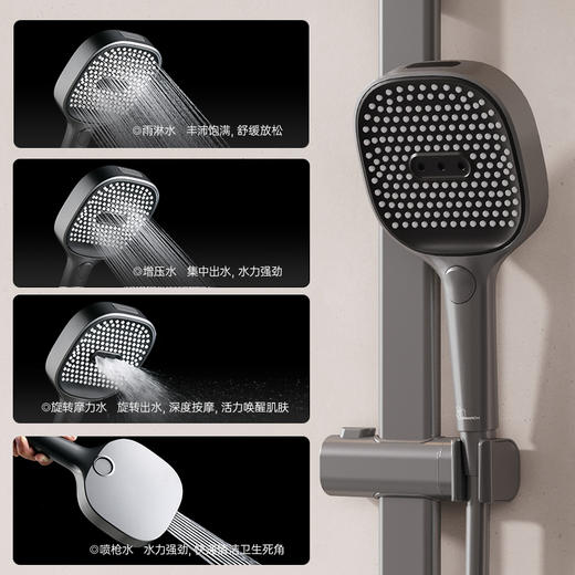 【门店款】帝王洁具TC24033花洒喷头花洒套装淋浴器套装卫生间高档淋浴器 商品图4