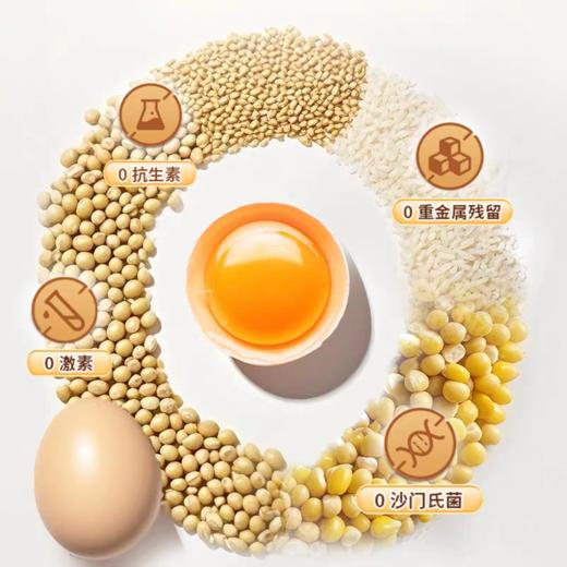 可生食蛋 （30枚/箱） 商品图2