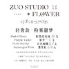 奢华款【粉雾甜梦】19支粉荔枝玫瑰 + 紫罗兰*3 + 蝴蝶兰*1/生日惊喜氛围感花礼/闺蜜聚会礼物/纪念日送礼/野餐氛围感花束 商品缩略图4
