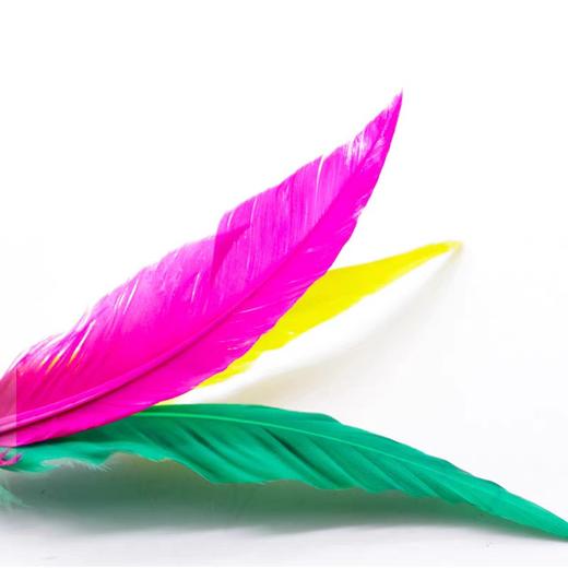 板羽球 商品图2