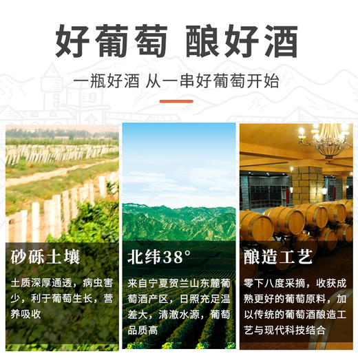【中国农垦】西夏王阳台01赤霞珠干红750ML 商品图1