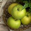 【秒杀】青黄蜜梨3斤装（3-6个  净重2.8-3斤） 商品缩略图0