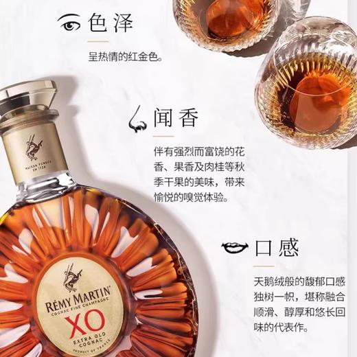 【有税版】人头马XO干邑白兰地 1000ml 原装进口 新包装 商品图1