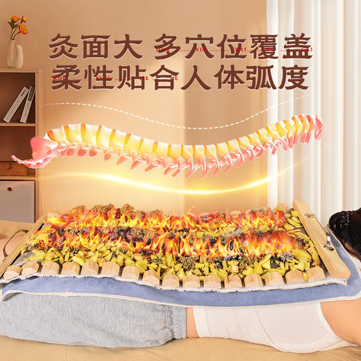 【古法督灸❗松木督脉龙骨灸】稳定身体“小情绪”柔性贴合人体弧度，双层加厚“超密底网“隔灰避免烫伤皮肤，艾灸馆木质腹部背部专用，艾灸器具龙骨灸L 商品图1
