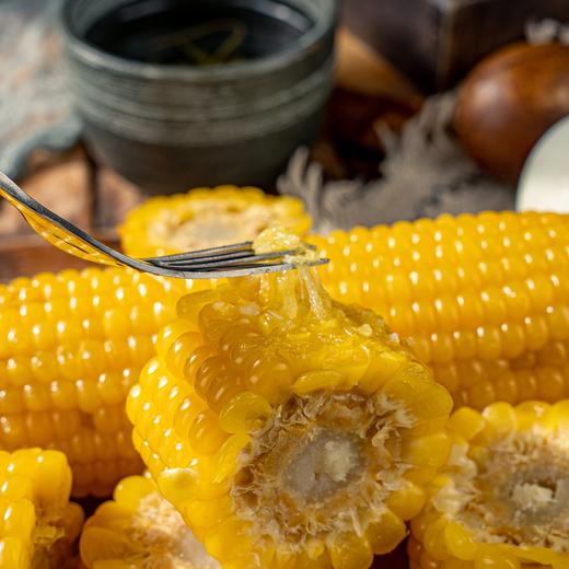 【山西香糯黄玉米】玉米香味十足 鲜嫩香甜，软糯馥郁， 商品图0