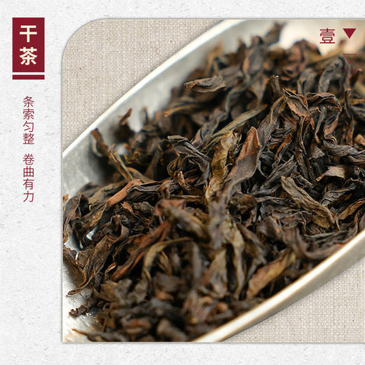 【山纯限品】2025年019狮子峰七贤峰丹桂17g 商品图2