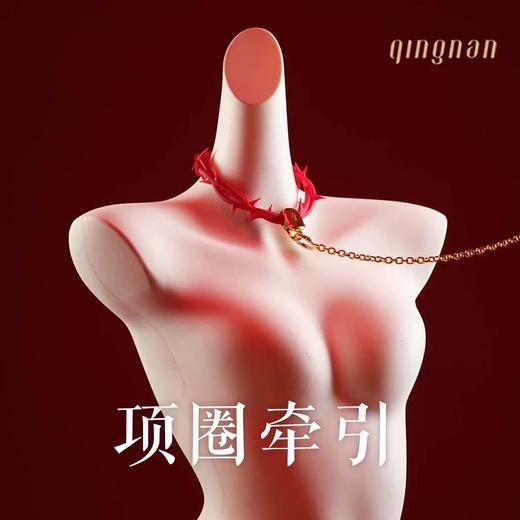 轻喃新品：荆棘·捆绑艺术 sm道具口球项圈束缚调教绳子调情手铐脚链 商品图2