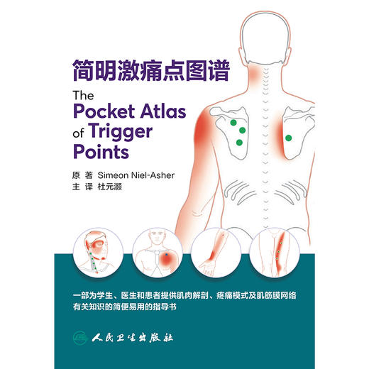 简明激痛点图谱 商品图1