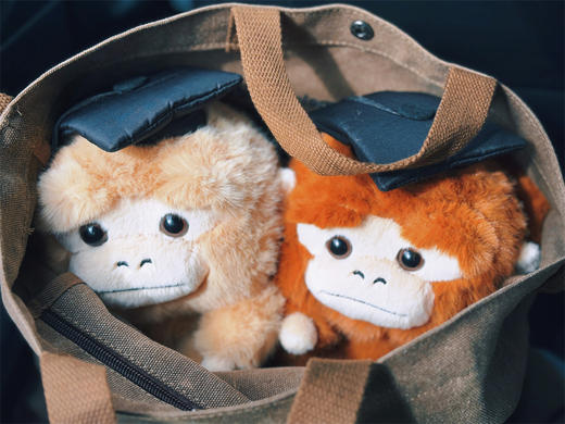 【新品现货】学术吗喽公仔 可选 深棕色 卷卷/ 浅色  问问 玩偶 商品图3