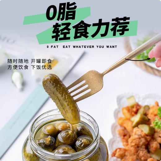 670g 冠利俄式酸黄瓜  腌制酸青瓜 汉堡三明治原料德国进口 商品图1