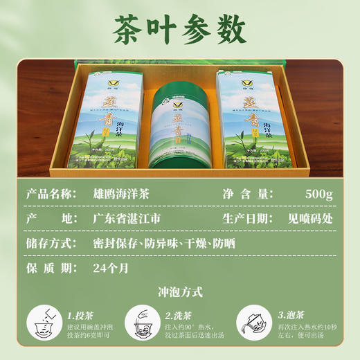 【中国农垦】雄鸥海洋茶绿茶500克 商品图4